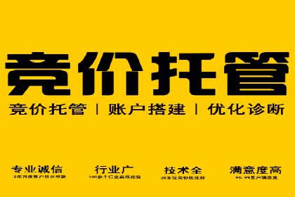 百度推广效果监测与持续优化的真实案例